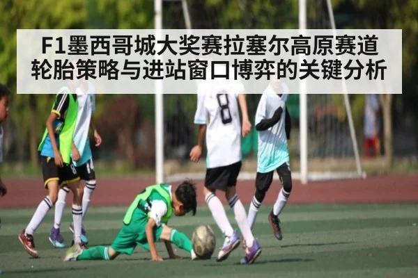 F1墨西哥城大奖赛拉塞尔高原赛道轮胎策略与进站窗口博弈的关键分析